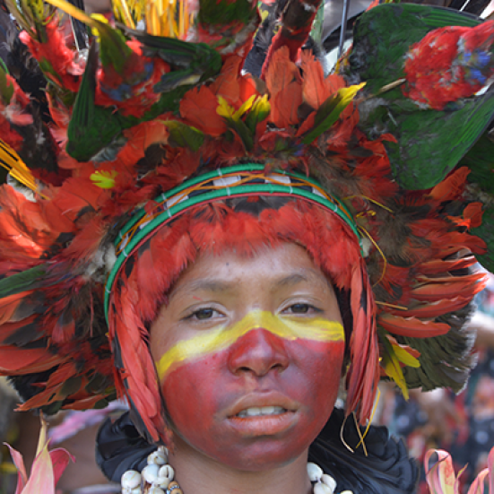 Fotografi af lokal person fra Papua New Guinea iført farvestrålende ansigstmaling og hovedbeklædning med fjer. 